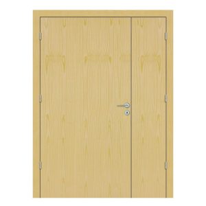 Ash Hollow Hospital Door