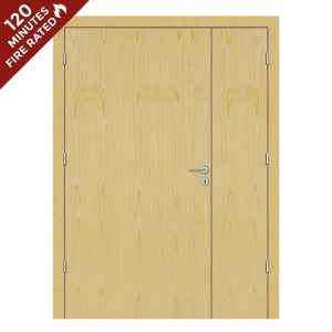 Ash Hospital Door FD120