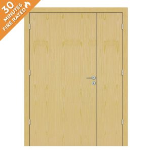 Ash Hospital Door FD30