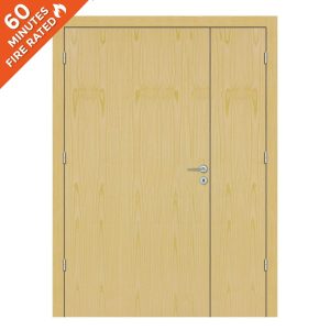 Ash Hospital Door FD60