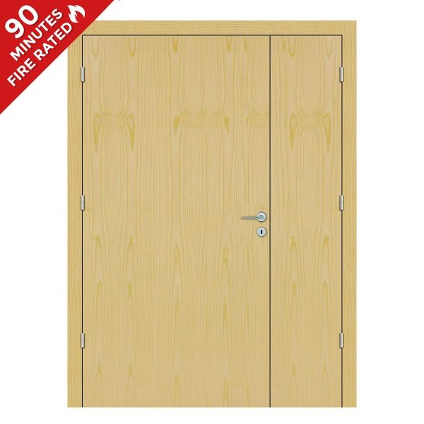 Ash Hospital Door FD90