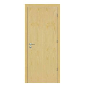 Ash Solid Single Door