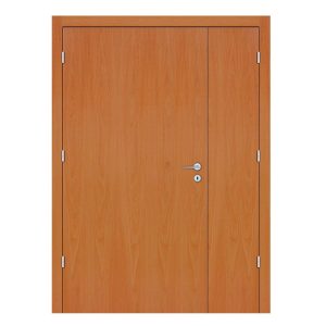 Beech Hollow Hospital Door