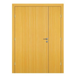 Koto Hollow Hospital Door
