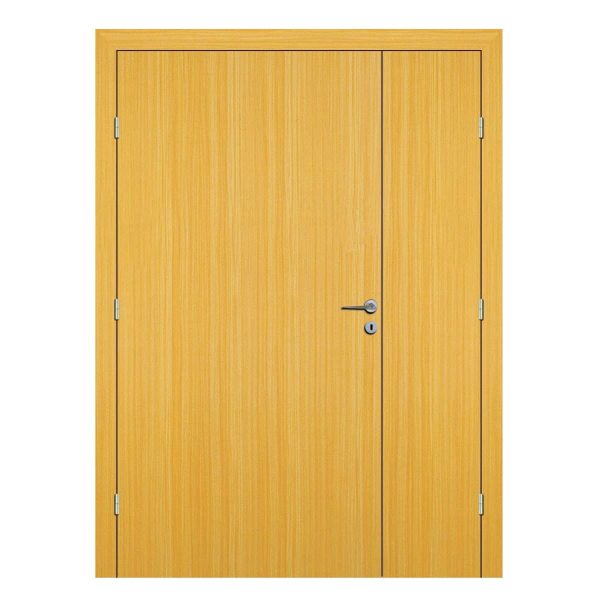 Koto Hollow Hospital Door